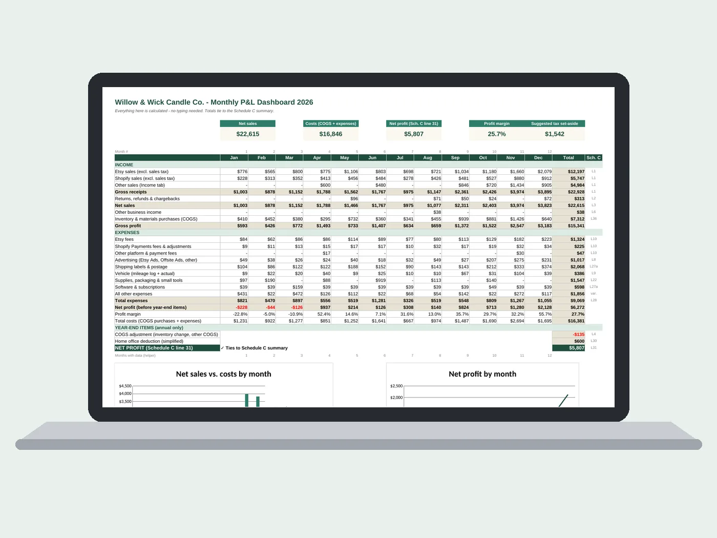 Monthly P&L dashboard tab from the sample workbook shown on a laptop